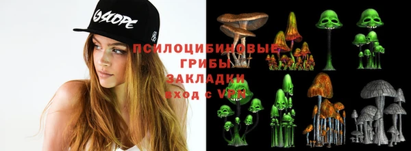 твердый Абинск