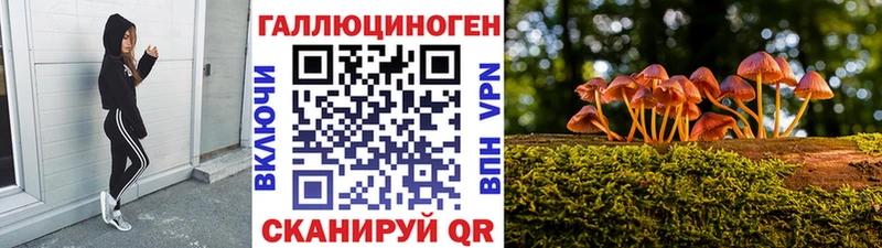 Галлюциногенные грибы Psilocybe блэк спрут зеркало Алатырь купить сайты